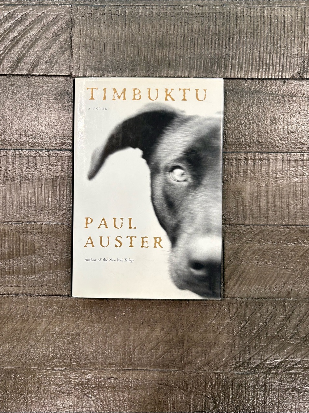 Timbuktu by Paul Auster Hardcover Book
